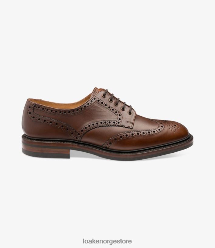 chester Loakebrogues brun P8VHV1