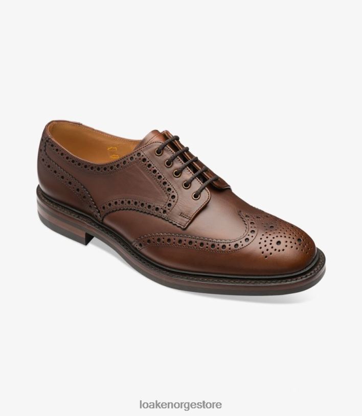 chester Loakebrogues brun P8VHV1