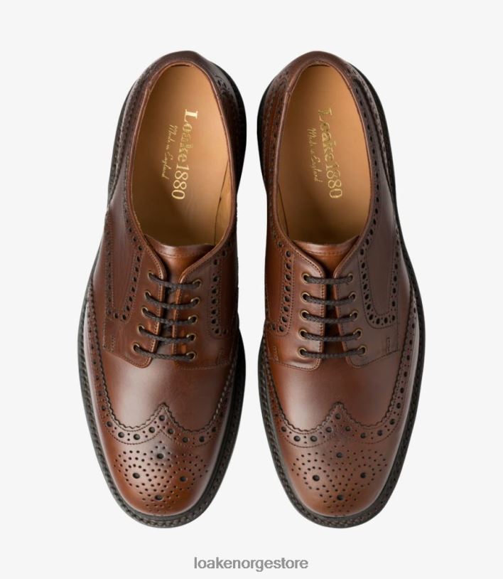 chester Loakebrogues brun P8VHV1