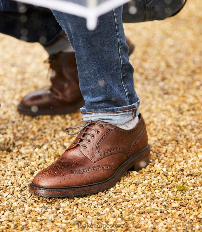 chester Loakebrogues brun P8VHV1