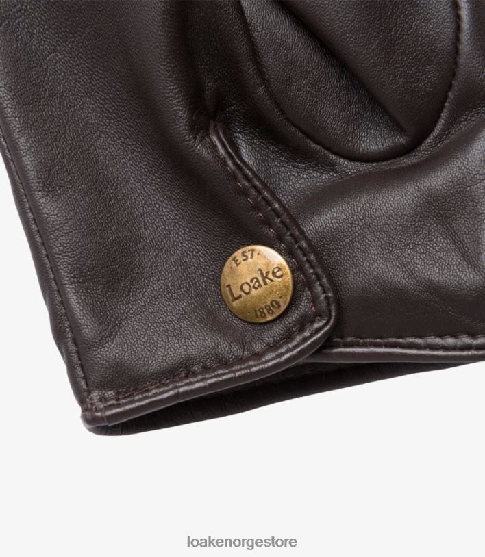 shackleton hansker Loakelær brun P8VHV241